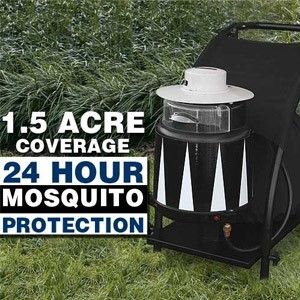 The Ins and Outs of Mosquito Control: Take Back Control of Your Backyard! 🦟