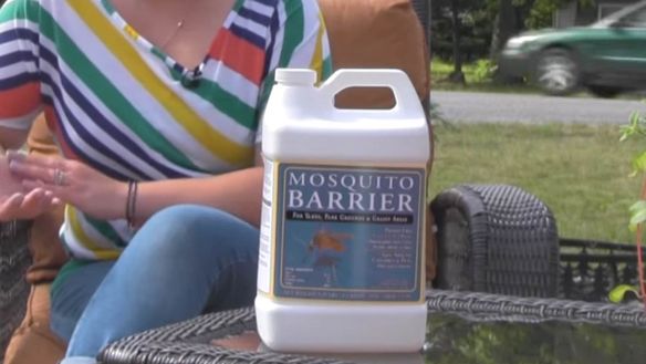 Use Garlic Barrier to Create a Barrier to Keep Mosquitoes Out