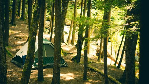 Campsites and Mosquitoes – Protect Yourself and Your Family While Camping
