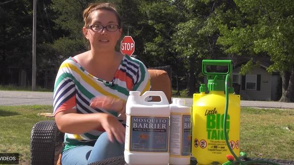 How to Repel Mosquitoes in 5 Minutes with All-Natural Mosquito Barrier