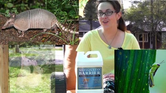 Stop Garden Pests in their Tracks with Mosquito Barrier