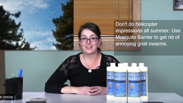 Stop Gnats from Driving You Crazy with Mosquito Barrier